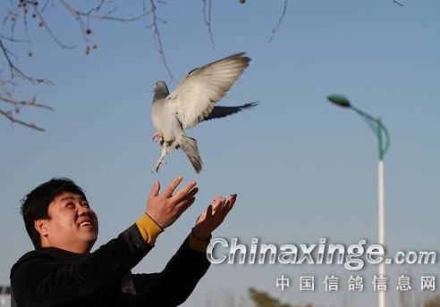 ��Ϊʲô����ǿ�����������е���Ҫ�ԣ�