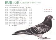 �������룺������ɭ˹��������ۡ�