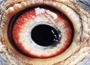 ���۵ĸ����������� ����զ����