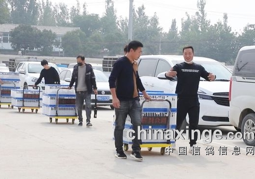 ��̸�����˶���Ҫ���ø� �����ڸ���