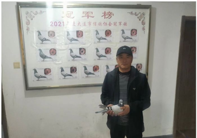 500����鳲���ų� �������ǰʮ���