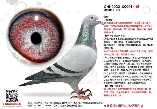 ���������λ�� ǰ100��20  ˫��ǰ100��8 