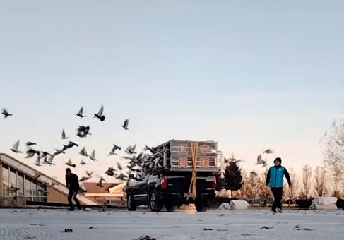 �������600�����ռ�ս ����������20��