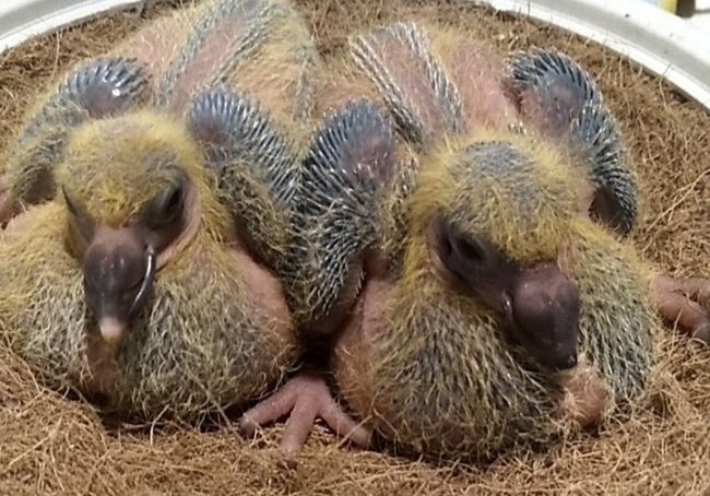 ˵˵������־�����