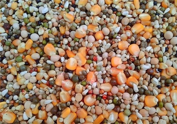 �����׶� ����ιʳ��δ��䣿