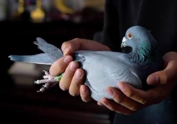 ���عھ�֮�����Ǳ�³���