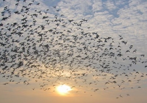 ����ѵ��Ҫ����