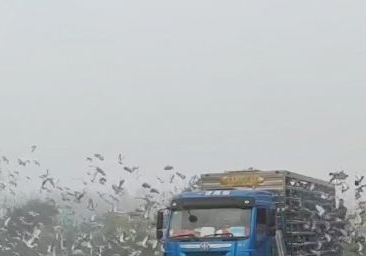 2022 ���翹�꣬�����Ի� �������ʼ��Ź���500�������