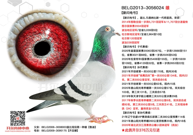 �����ɱ�أ���������ͻ����Χǰ100��14