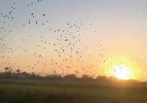 �Ϻ������׹�352���� �����ŵ��չ�88.99%����ϲ