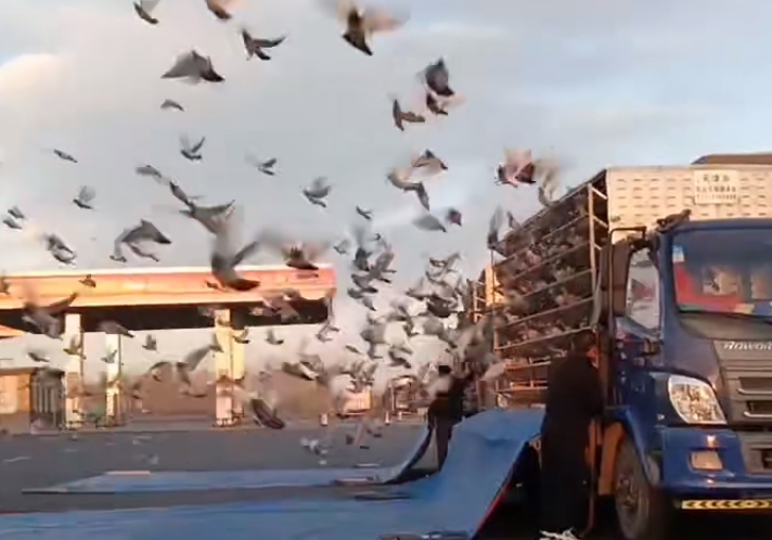 ӭս��� �������蹫������ھ�����