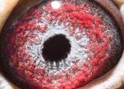 ���ͣ���ظ����񽱸� ����ɰ��