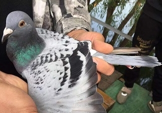 ��ͨ���裺���ҷɳ��λ����� �л�����