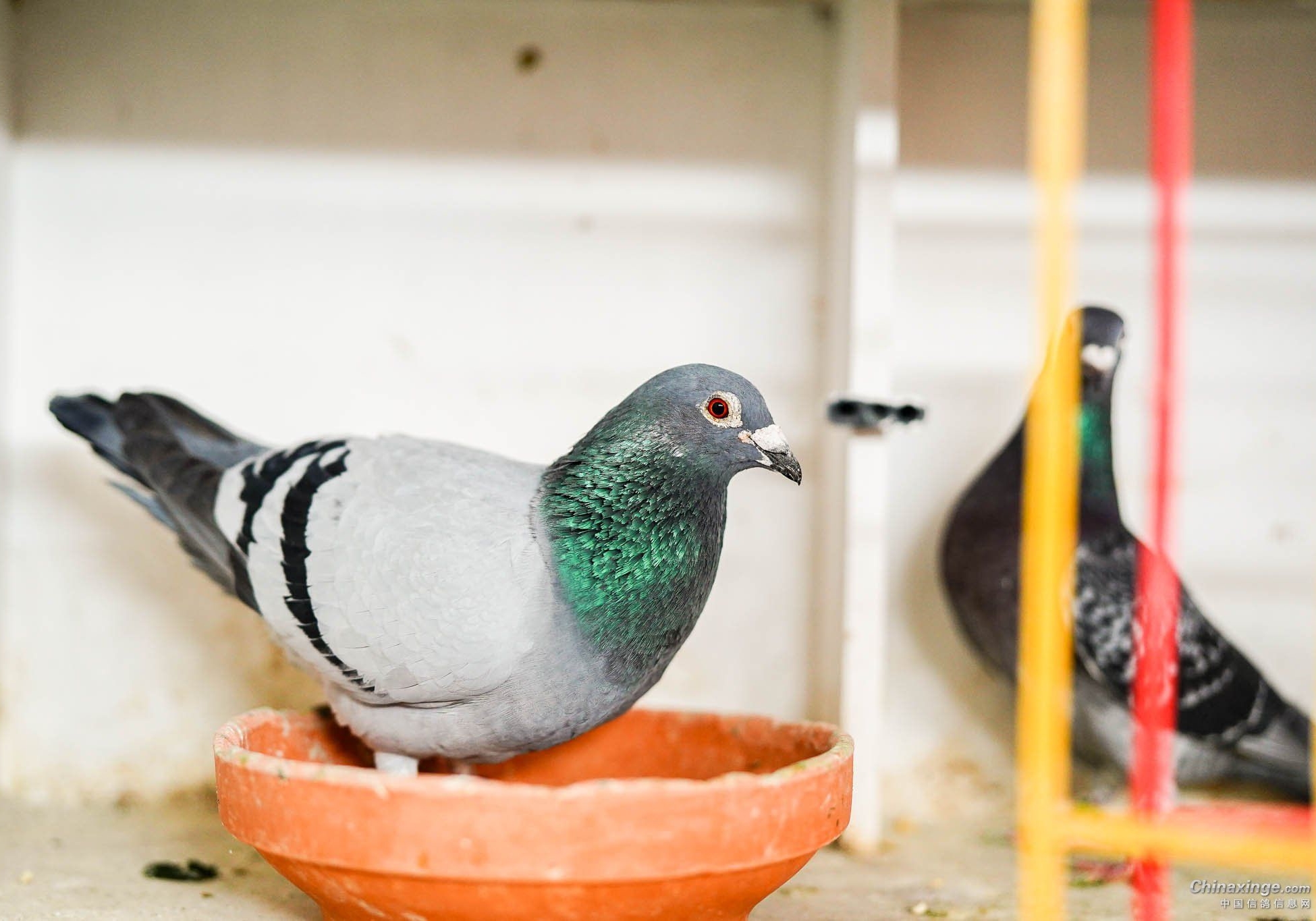 �ø�����ɶ���ɣ�