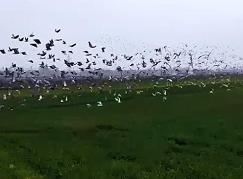 ��������������л����Ǻ��� ����Ҫ������������