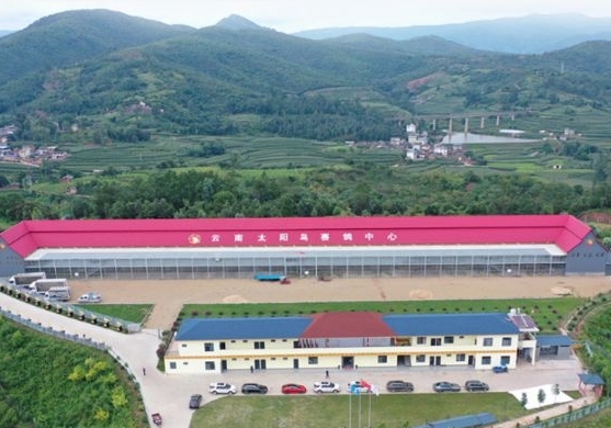 ̫������320����Ԥ���߷��ٹ鳲