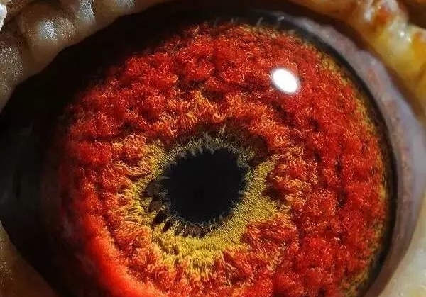 �ø��к��� �������������