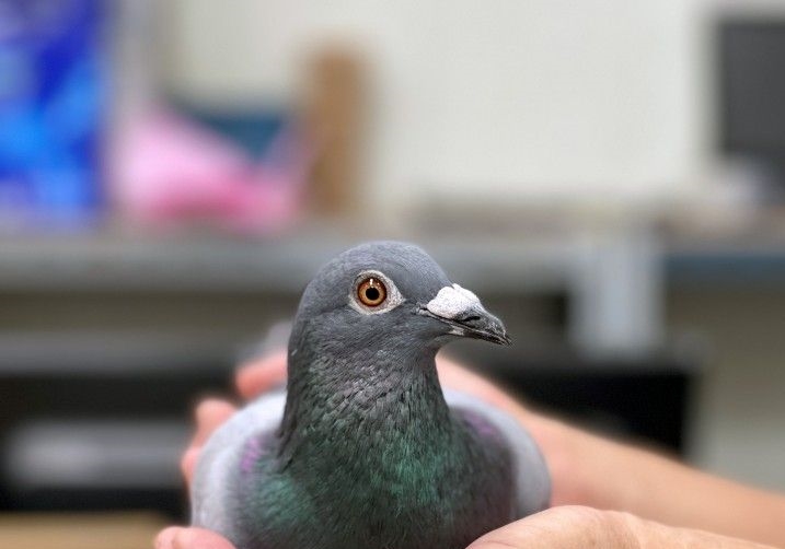 �Ӵ�δ���� ����������Щ������