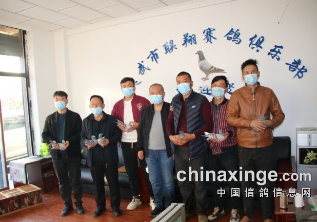 ��������������ֲ�500���ﾺ���ճ�