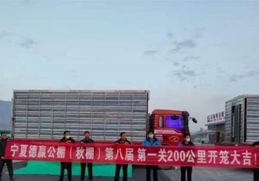 ���չ鳬�߳ɣ���Ӯ�����һ�ر�����ʵ