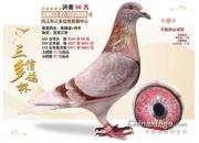 һ�������� �����Ӵ������