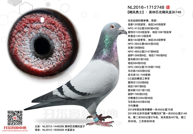 ���������µ�ʵս���� �����ھ�����