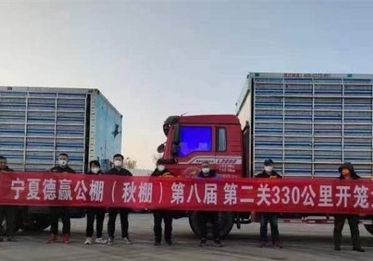 ���ĵ�Ӯ����ڶ������߷��ٸ߹鳲��