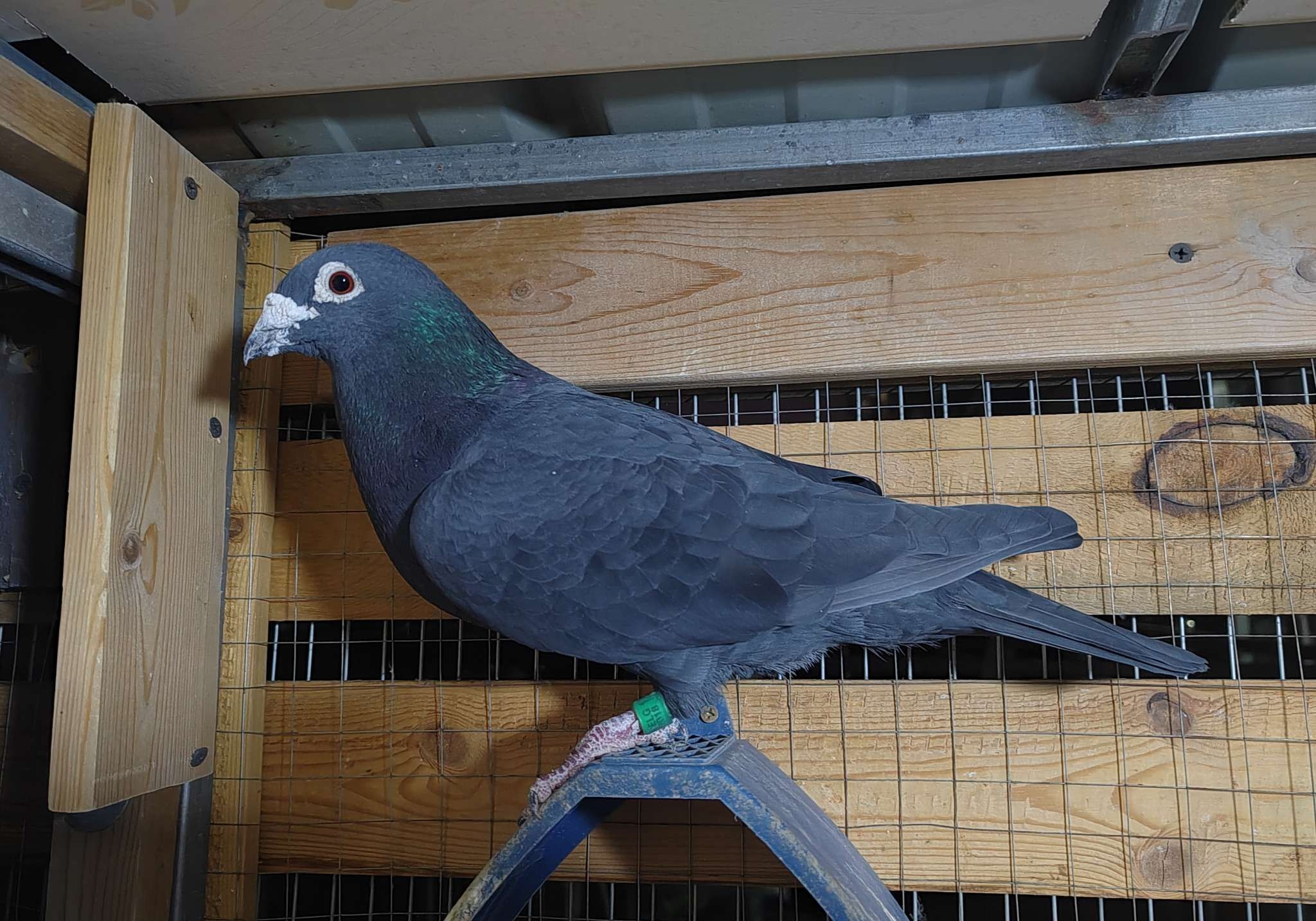 ������ֹ����� �ڴ�����