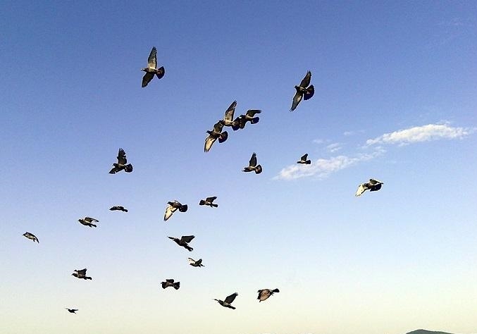 ���ؾ����Ѫ���ȥ�δ� �������ɣ�