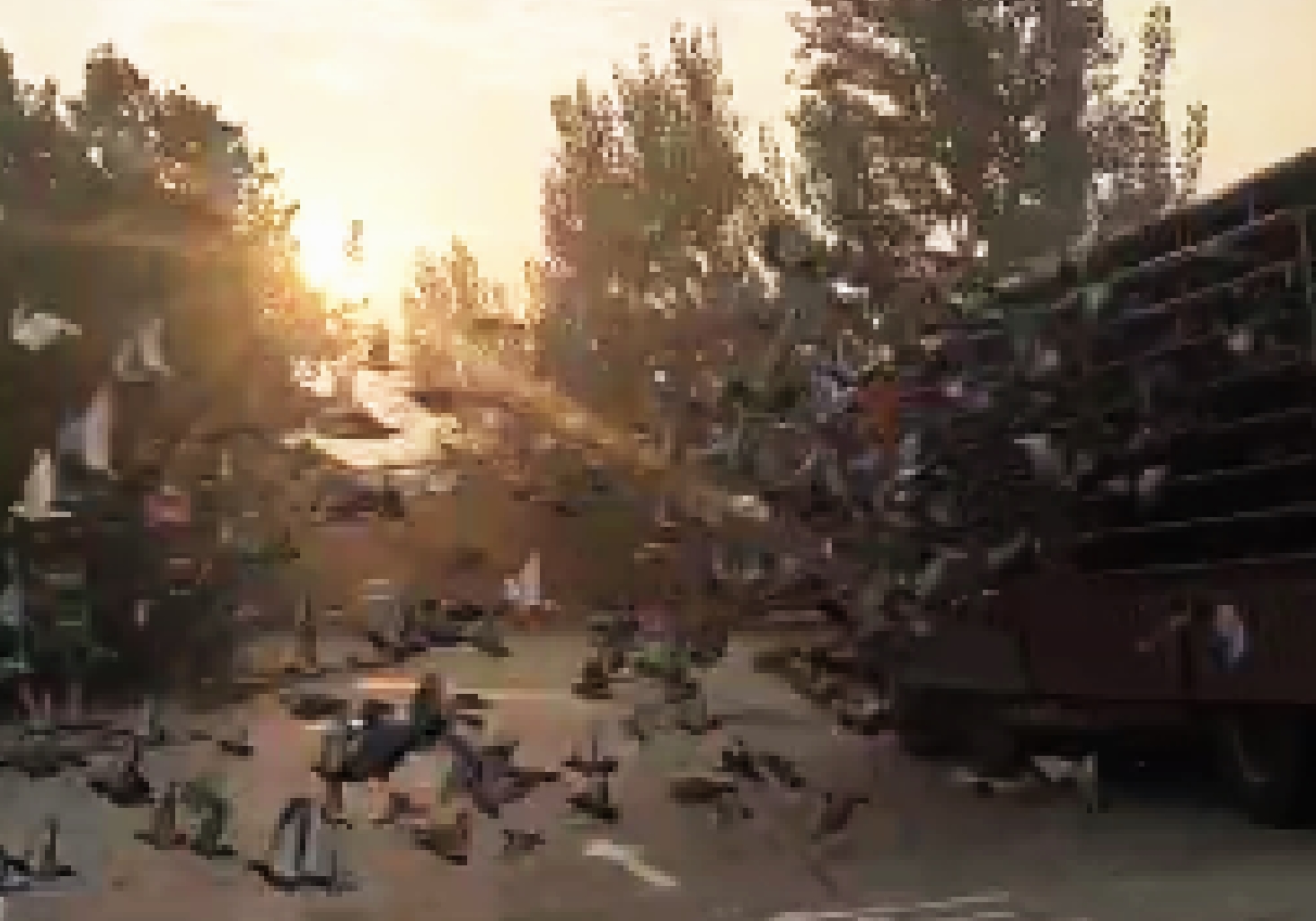 �Բ����ؽ�չ����  һ·ƴɱ  Ѫս���ף�ͼ��