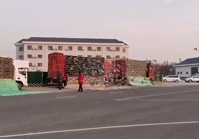 ��ǧս�봳����  ����500����ھ�����