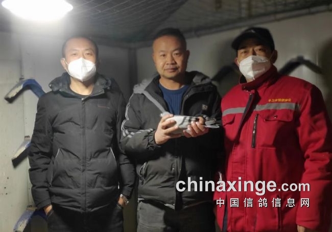 �����������9293��������ս����