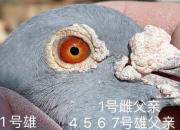 ������������ָ���ô�䣿