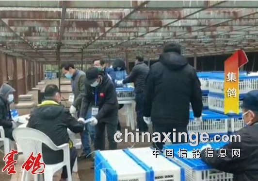 �Ϻ���ɫ�����Ĺظ������ڶ���;������