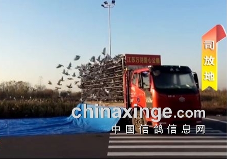 ���������������ɽ Ԥ������һ��