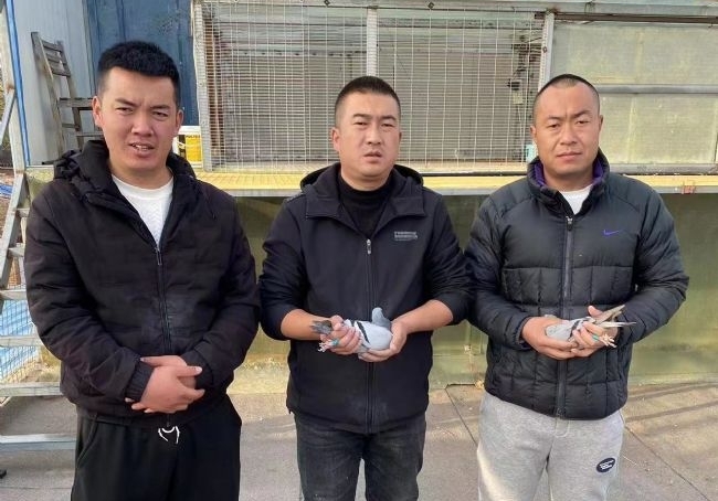 �Ĺظ����ھ����������Ĺ�ԭ�＾�������ճ�