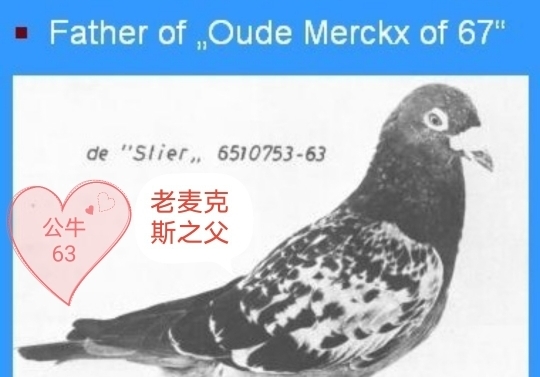 ����48���䡰�޶�����51��Ҳ��մѪ��