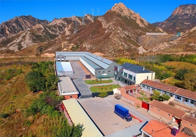 ��;̩�ﾺ��8000 ����С���¶�˫�عھ�