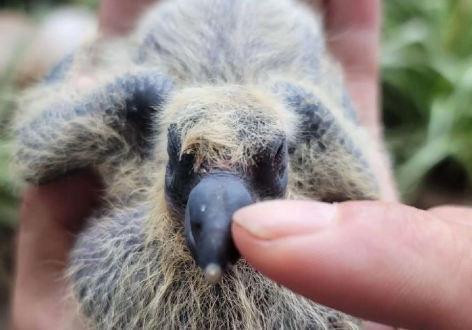 ��������ж����13λ �����Ÿ������֮ϲ