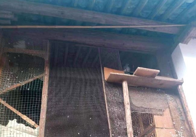 �������������о�ϲ����ƽ��С��ɳ������������