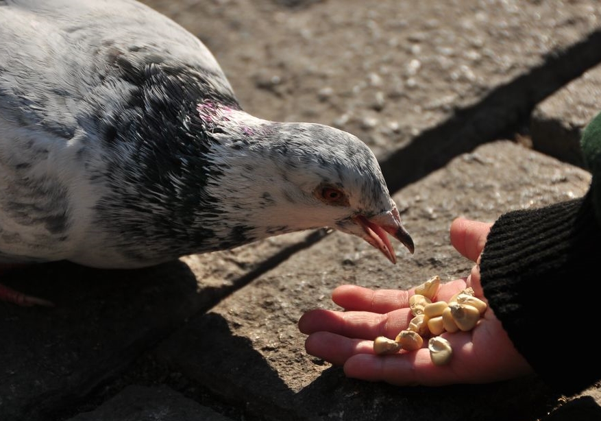 ���������ע������