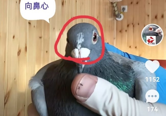 ��ͼ˵�룺�󿪹ھ��ġ��Ұס�������