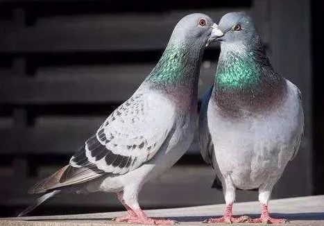 �������ֹؼ���