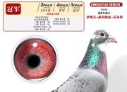 �ҵĻ񽱸룺һ��Ԥ�����������ھ�