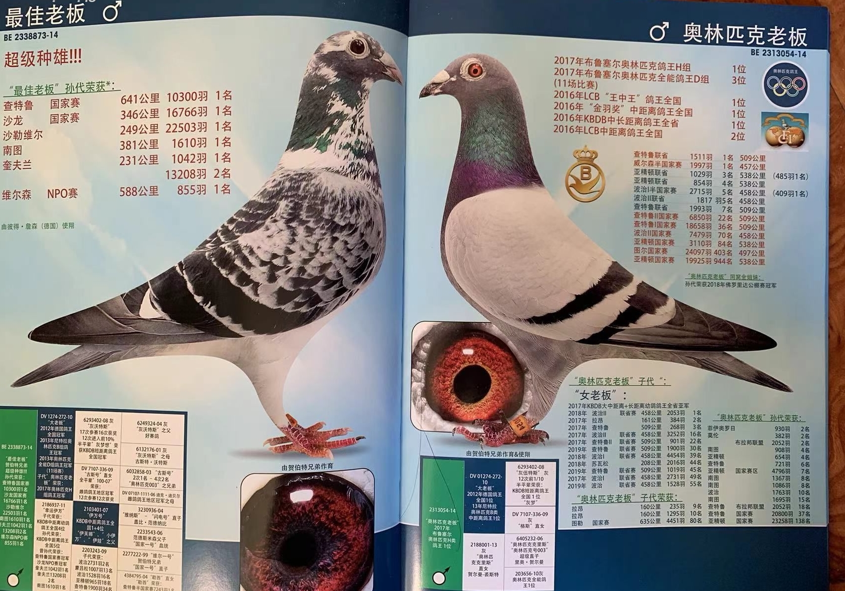 �¹���������ֶ���.·��