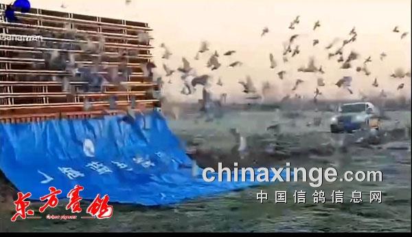 �絶˪����ǧ�� �����Ĺؾ����ɳ��߷���