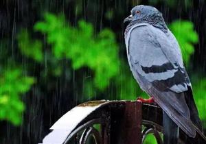 ������������� ���깫����СӮ