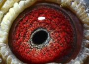 ��ϧ��ǰ�Լ�����ĺ��ָ�