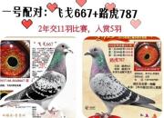 �����һ��� �Ӵ���������5��