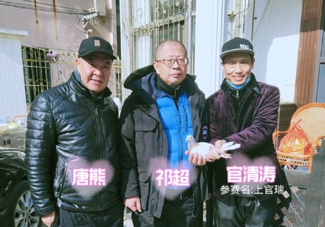 �Ϻ��������ظ����������� �����������